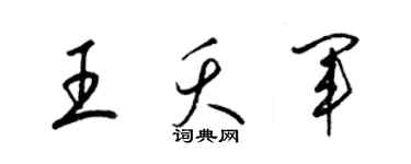 梁锦英王夭军草书个性签名怎么写