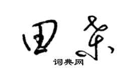 梁锦英田桑草书个性签名怎么写