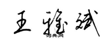 梁锦英王雅斌草书个性签名怎么写