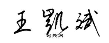 梁锦英王凯斌草书个性签名怎么写