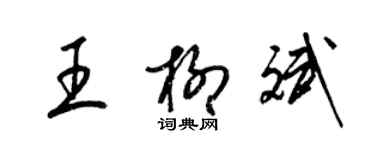 梁锦英王柳斌草书个性签名怎么写