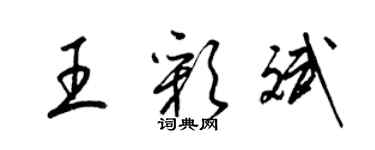 梁锦英王彩斌草书个性签名怎么写