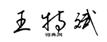 梁锦英王特斌草书个性签名怎么写