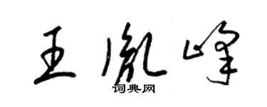 梁锦英王胤峰草书个性签名怎么写