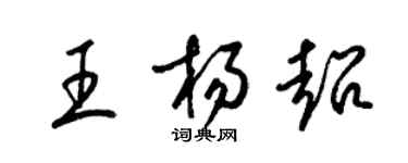梁锦英王杨超草书个性签名怎么写