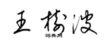 梁锦英王树波草书个性签名怎么写
