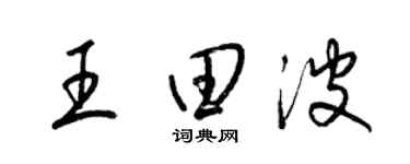 梁锦英王田波草书个性签名怎么写