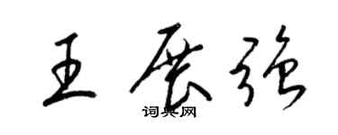 梁锦英王展强草书个性签名怎么写