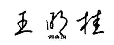 梁锦英王明桂草书个性签名怎么写