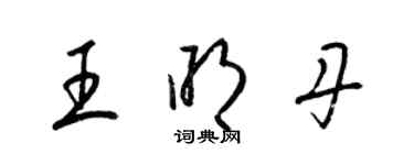 梁锦英王明丹草书个性签名怎么写