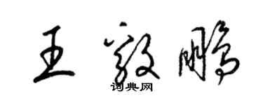 梁锦英王毅鹏草书个性签名怎么写