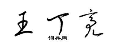 梁锦英王丁亮草书个性签名怎么写