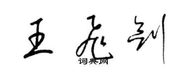 梁锦英王飞剑草书个性签名怎么写