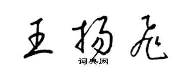 梁锦英王扬飞草书个性签名怎么写