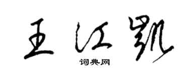 梁锦英王江凯草书个性签名怎么写