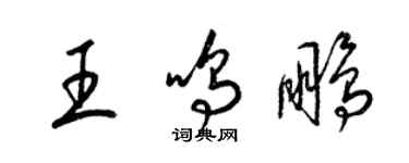 梁锦英王鸣鹏草书个性签名怎么写
