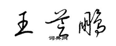 梁锦英王芝鹏草书个性签名怎么写