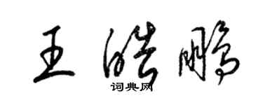 梁锦英王皓鹏草书个性签名怎么写