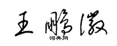 梁锦英王鹏徽草书个性签名怎么写
