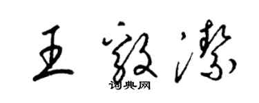 梁锦英王毅洁草书个性签名怎么写