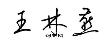 梁锦英王林燕草书个性签名怎么写