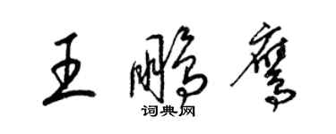梁锦英王鹏鹰草书个性签名怎么写
