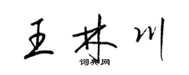 梁锦英王林川草书个性签名怎么写
