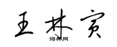 梁锦英王林寅草书个性签名怎么写