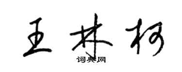 梁锦英王林柯草书个性签名怎么写