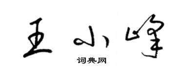 梁锦英王小峰草书个性签名怎么写