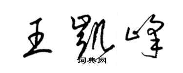 梁锦英王凯峰草书个性签名怎么写