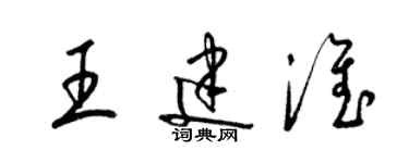 梁锦英王建淮草书个性签名怎么写