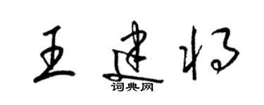 梁锦英王建将草书个性签名怎么写