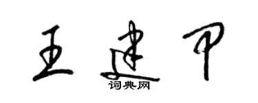 梁锦英王建甲草书个性签名怎么写