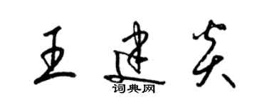 梁锦英王建炎草书个性签名怎么写