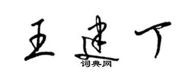 梁锦英王建丁草书个性签名怎么写