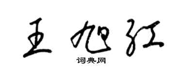 梁锦英王旭红草书个性签名怎么写