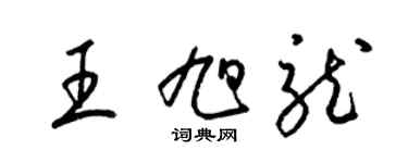 梁锦英王旭龙草书个性签名怎么写
