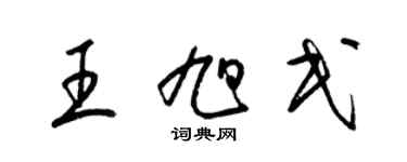 梁锦英王旭民草书个性签名怎么写