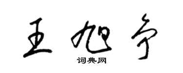 梁锦英王旭争草书个性签名怎么写