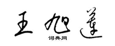 梁锦英王旭莲草书个性签名怎么写