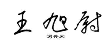 梁锦英王旭尉草书个性签名怎么写