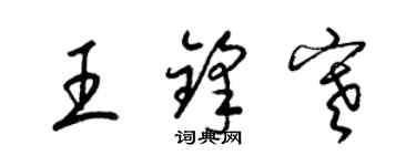 梁锦英王锋寒草书个性签名怎么写