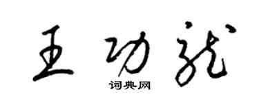 梁锦英王功龙草书个性签名怎么写