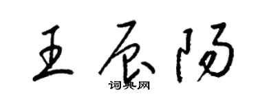 梁锦英王辰阳草书个性签名怎么写