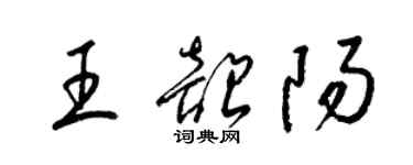 梁锦英王韶阳草书个性签名怎么写
