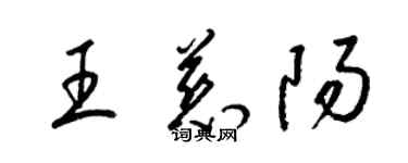 梁锦英王慈阳草书个性签名怎么写