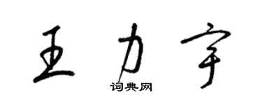 梁锦英王力宇草书个性签名怎么写