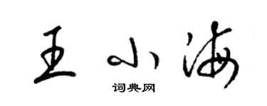 梁锦英王小海草书个性签名怎么写