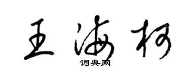 梁锦英王海柯草书个性签名怎么写